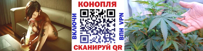 Бошки марихуана AK-47  Вологда 